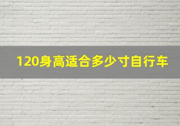 120身高适合多少寸自行车