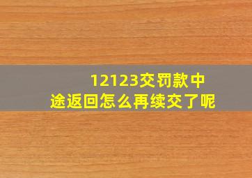 12123交罚款中途返回怎么再续交了呢