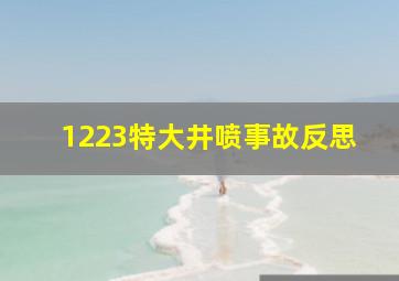 1223特大井喷事故反思