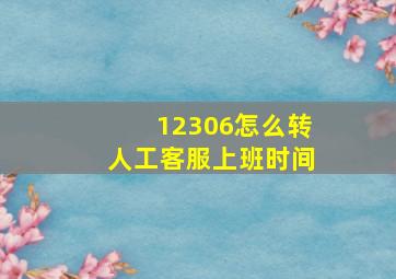 12306怎么转人工客服上班时间