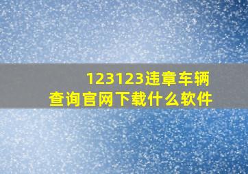 123123违章车辆查询官网下载什么软件