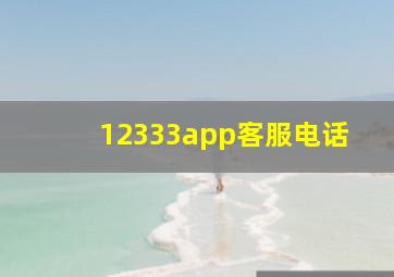 12333app客服电话