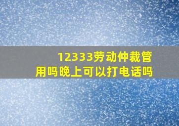 12333劳动仲裁管用吗晚上可以打电话吗