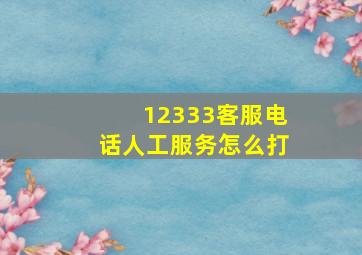 12333客服电话人工服务怎么打