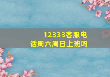 12333客服电话周六周日上班吗