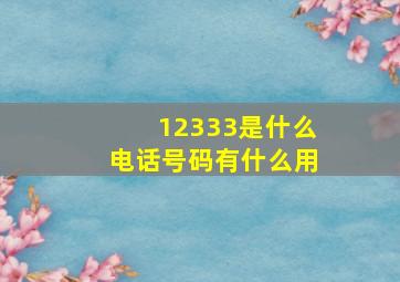 12333是什么电话号码有什么用