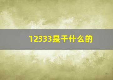 12333是干什么的