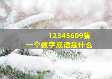 12345609猜一个数字成语是什么