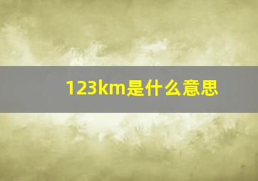 123km是什么意思