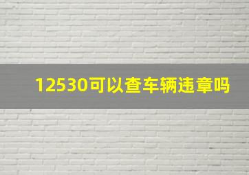 12530可以查车辆违章吗