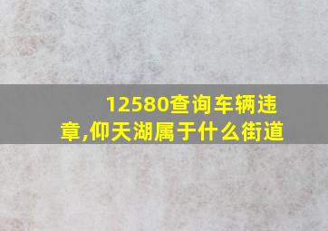 12580查询车辆违章,仰天湖属于什么街道