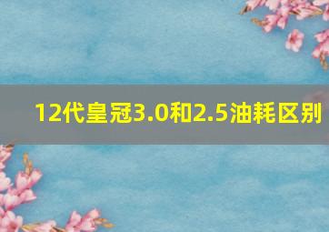 12代皇冠3.0和2.5油耗区别