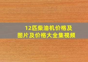 12匹柴油机价格及图片及价格大全集视频