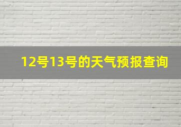 12号13号的天气预报查询