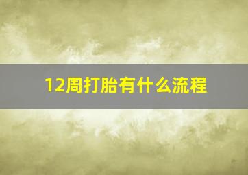 12周打胎有什么流程