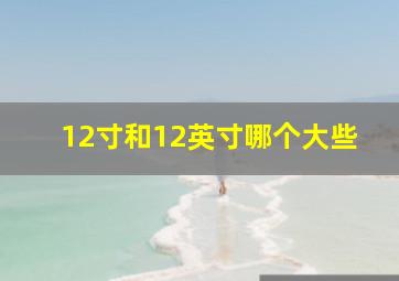 12寸和12英寸哪个大些