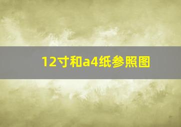 12寸和a4纸参照图