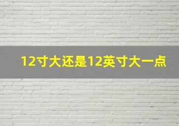 12寸大还是12英寸大一点