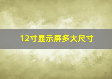 12寸显示屏多大尺寸