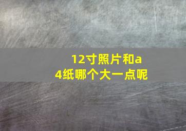 12寸照片和a4纸哪个大一点呢