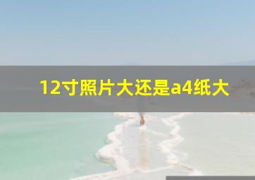 12寸照片大还是a4纸大