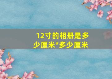 12寸的相册是多少厘米*多少厘米