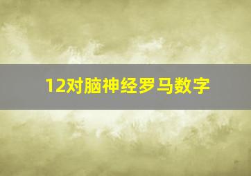 12对脑神经罗马数字