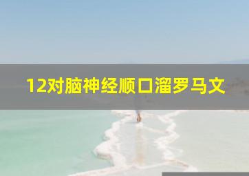 12对脑神经顺口溜罗马文