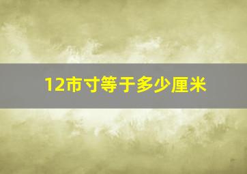 12市寸等于多少厘米