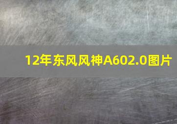 12年东风风神A602.0图片