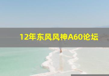 12年东风风神A60论坛