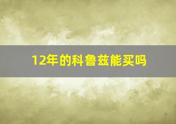 12年的科鲁兹能买吗