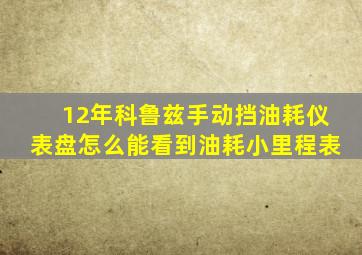 12年科鲁兹手动挡油耗仪表盘怎么能看到油耗小里程表