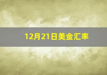 12月21日美金汇率