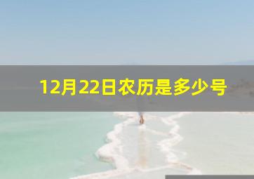 12月22日农历是多少号