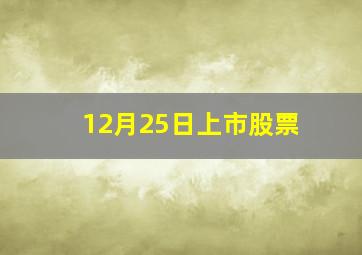 12月25日上市股票