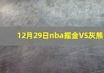 12月29日nba掘金VS灰熊