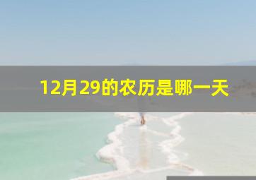 12月29的农历是哪一天