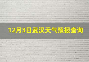 12月3日武汉天气预报查询