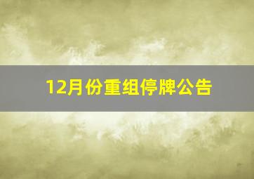 12月份重组停牌公告