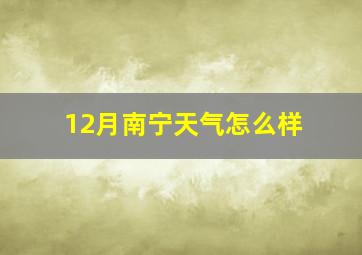 12月南宁天气怎么样