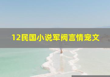 12民国小说军阀言情宠文