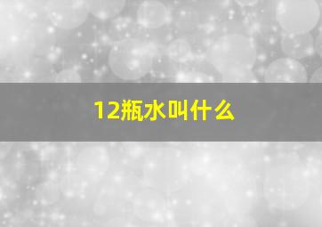 12瓶水叫什么