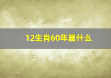 12生肖60年属什么