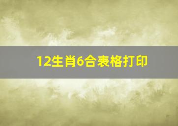 12生肖6合表格打印