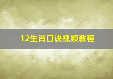 12生肖口诀视频教程