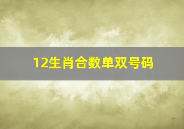 12生肖合数单双号码