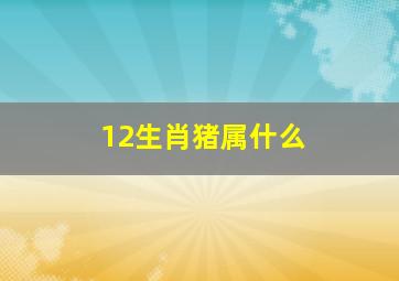 12生肖猪属什么