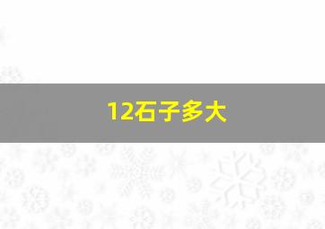 12石子多大