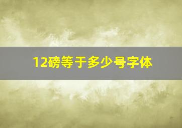 12磅等于多少号字体